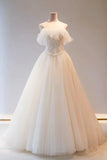 Champange Tulle Long Prom Dress, A-Line Evening Dress HZ1024