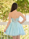Charming Light Blue Tulle Lace Appliques Design A-line Strapless Homecoming Dress HZ1024